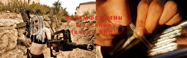 гидра Гатчина