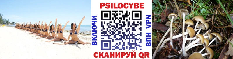 Псилоцибиновые грибы прущие грибы  хочу наркоту  Тобольск 