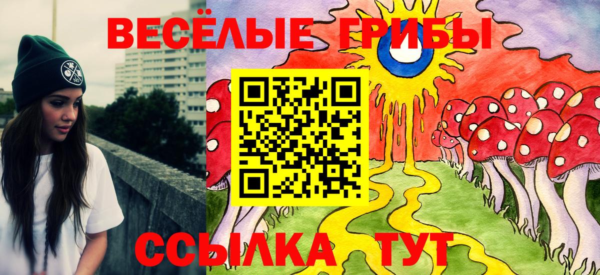 Тобольск  Псилоцибиновые грибы MAGIC MUSHROOMS  Вход с VPN  Галлюциногенные грибы Psilocybine cubensis 