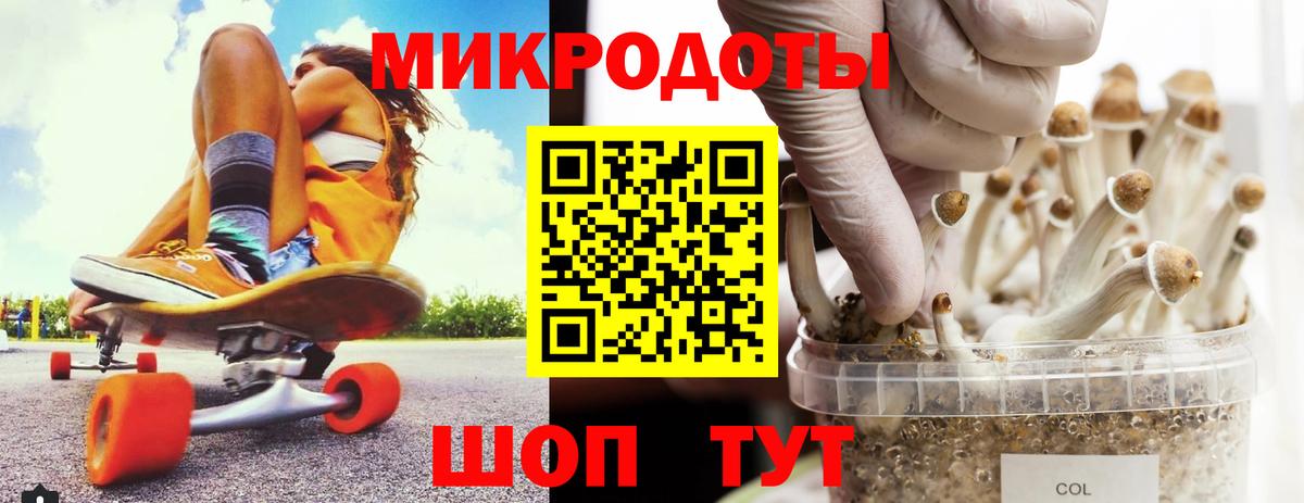 Псилоцибиновые грибы Cubensis Тобольск